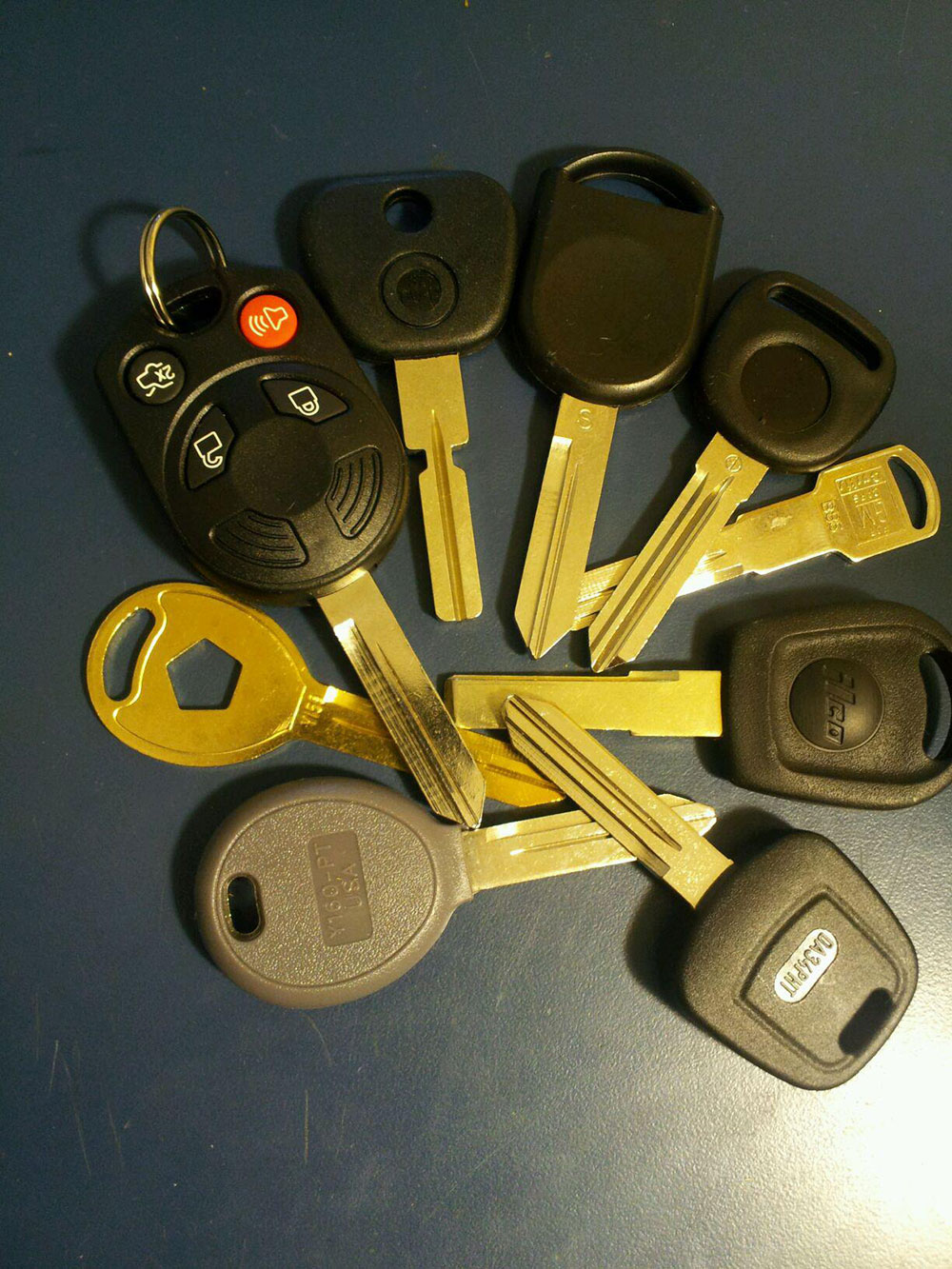 images/gallery/4.jpg#joomlaImage://local-images/gallery/4.jpg?width=1000&height=1333