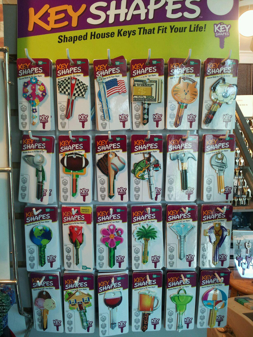 images/gallery/5.jpg#joomlaImage://local-images/gallery/5.jpg?width=1000&height=1333